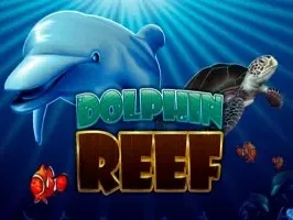 Dolphin Reef